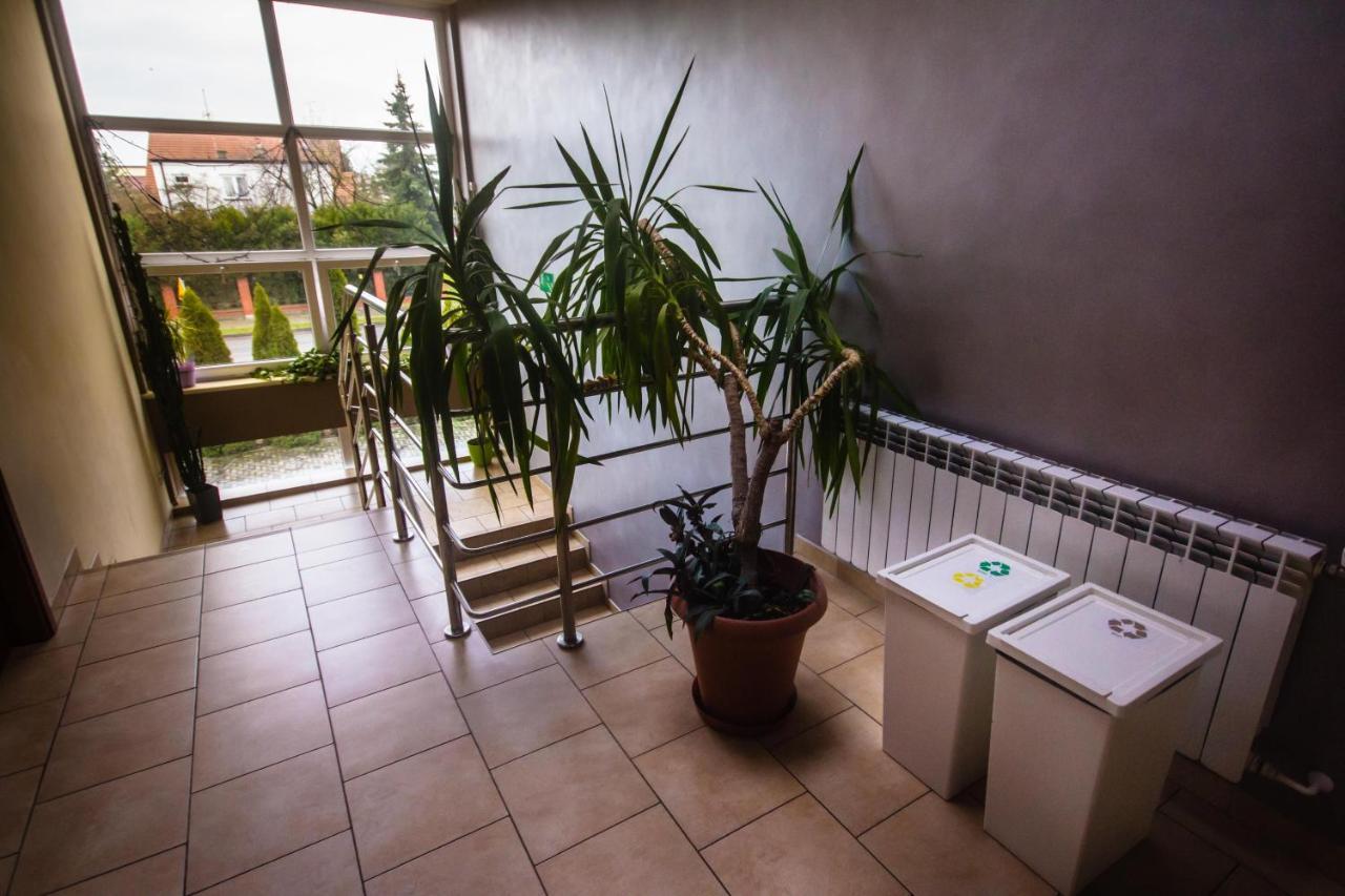 Hostel Soleil Kutno Buitenkant foto